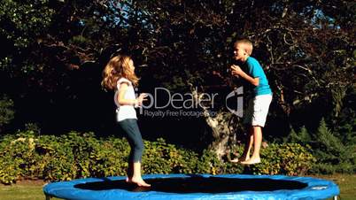 Siblings playing together on a trampoline