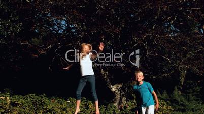 Brother and sister jumping on a trampoline