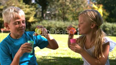 Cheerful siblings having fun together with bubbles