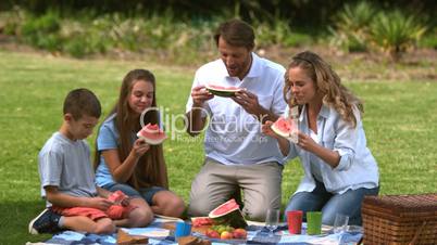Family eating a watermelon while having a picnic