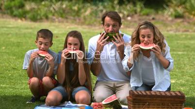 Happy family eating a watermelon while having a picnic