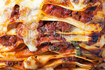 frische italienische Lasagne