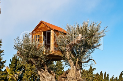 the tree house