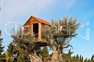 the tree house
