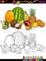 tropical fruits group for coloring book