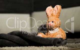 Toy bunny 001-130330