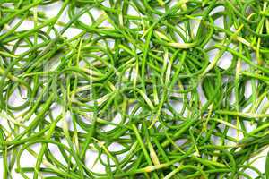 background of fresh garlic scape