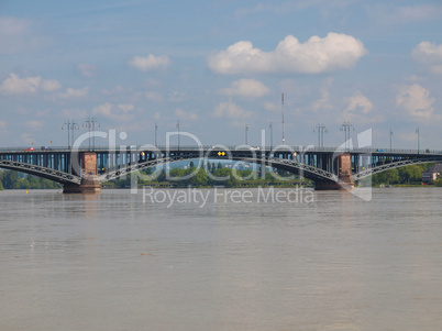 Rhine river in Mainz