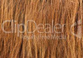 brown hair texture