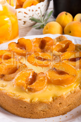 mirabelle cake