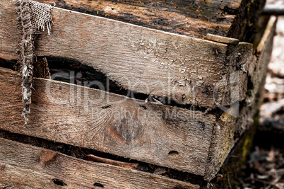 old wooden things 006-130410