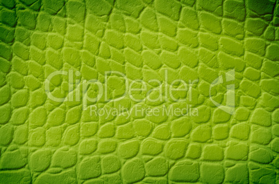 Green snake texture