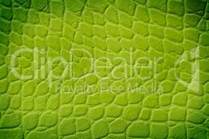 Green snake texture