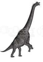 Brachiosaurus dinosaur