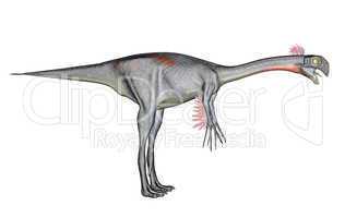 Gigantoraptor dinosaur - 3D render