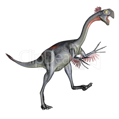 Gigantoraptor dinosaur