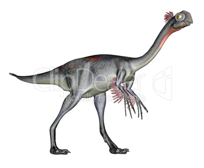 Gigantoraptor dinosaur - 3D render