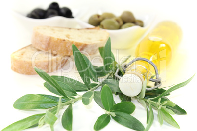Olivenölflasche mit Zweig