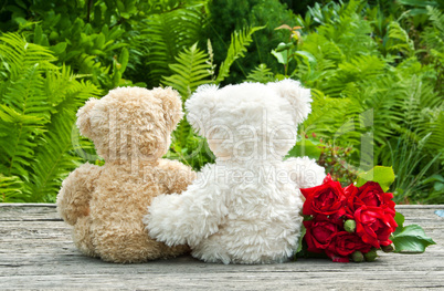 teddy bears