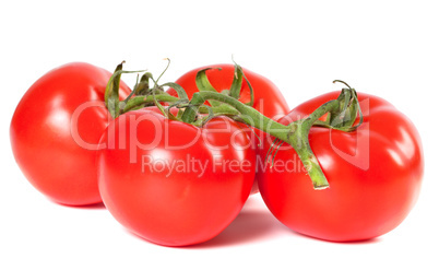 bunch of ripe tomato