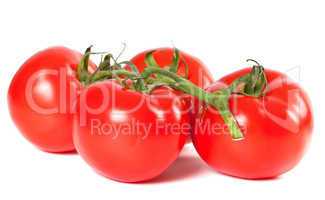bunch of ripe tomato