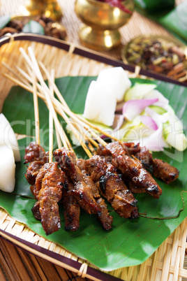 Satay Southeast Asia food