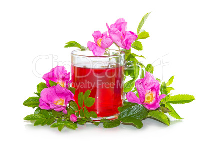 Rosa canina flowers with a herbal infusion