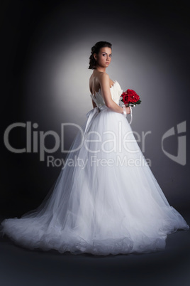 Gorgeous bride posing in elegant dress