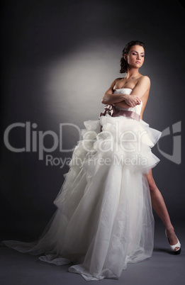 Graceful brunette posing covered by wedding dress