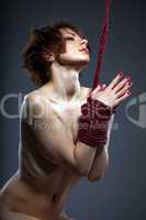 Sexual red-haired naked woman tied with rope