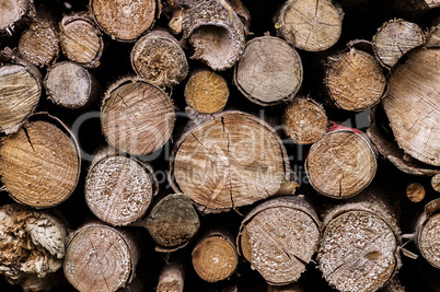 Firewood 005-130427