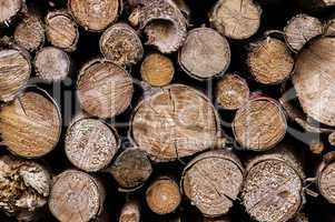 Firewood 005-130427