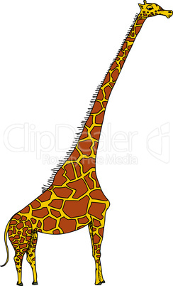 Cartoon Giraffe