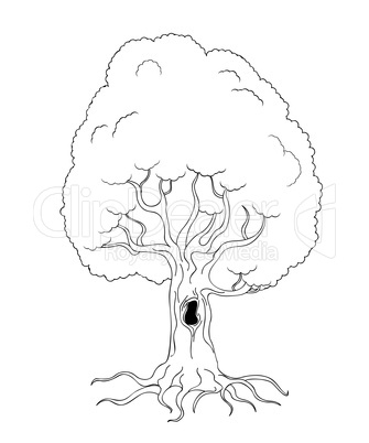 coloring book tree