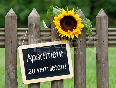 Apartment zu vermieten !