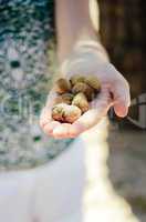 Woman showing handful of almonds