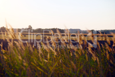 Agricultural land in August.