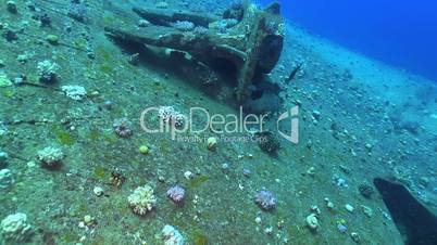 Shipwreck Salem Express in Red Sea, bottom of the sea