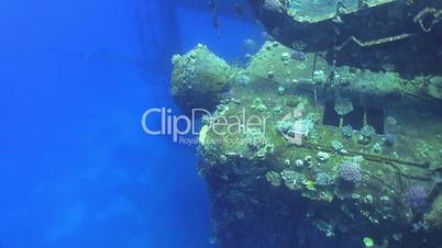 Shipwreck Salem Express in Red Sea, bottom of the sea