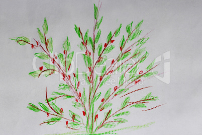 children's drawing of green bush and red berries on it children's drawing of green bush and red berries on it
