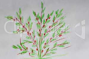 children's drawing of green bush and red berries on it
