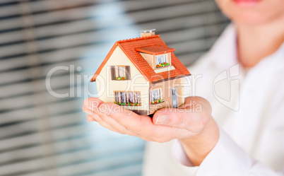 house in human hands