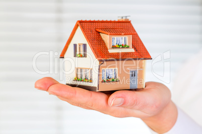 house in human hands