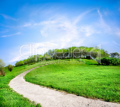 Road on a green hill