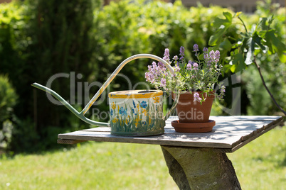 Watering can and flower