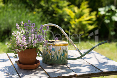 Watering can and flower