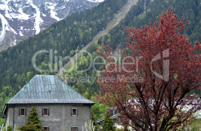 View of the Swiss Alpel