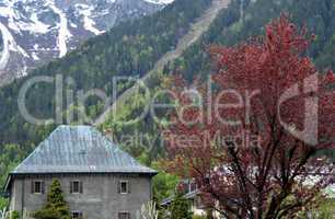 View of the Swiss Alpel