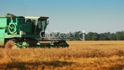 Harvester in a golden field