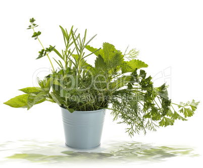 Fresh Herbs